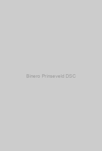 Binero Prinseveld DSC